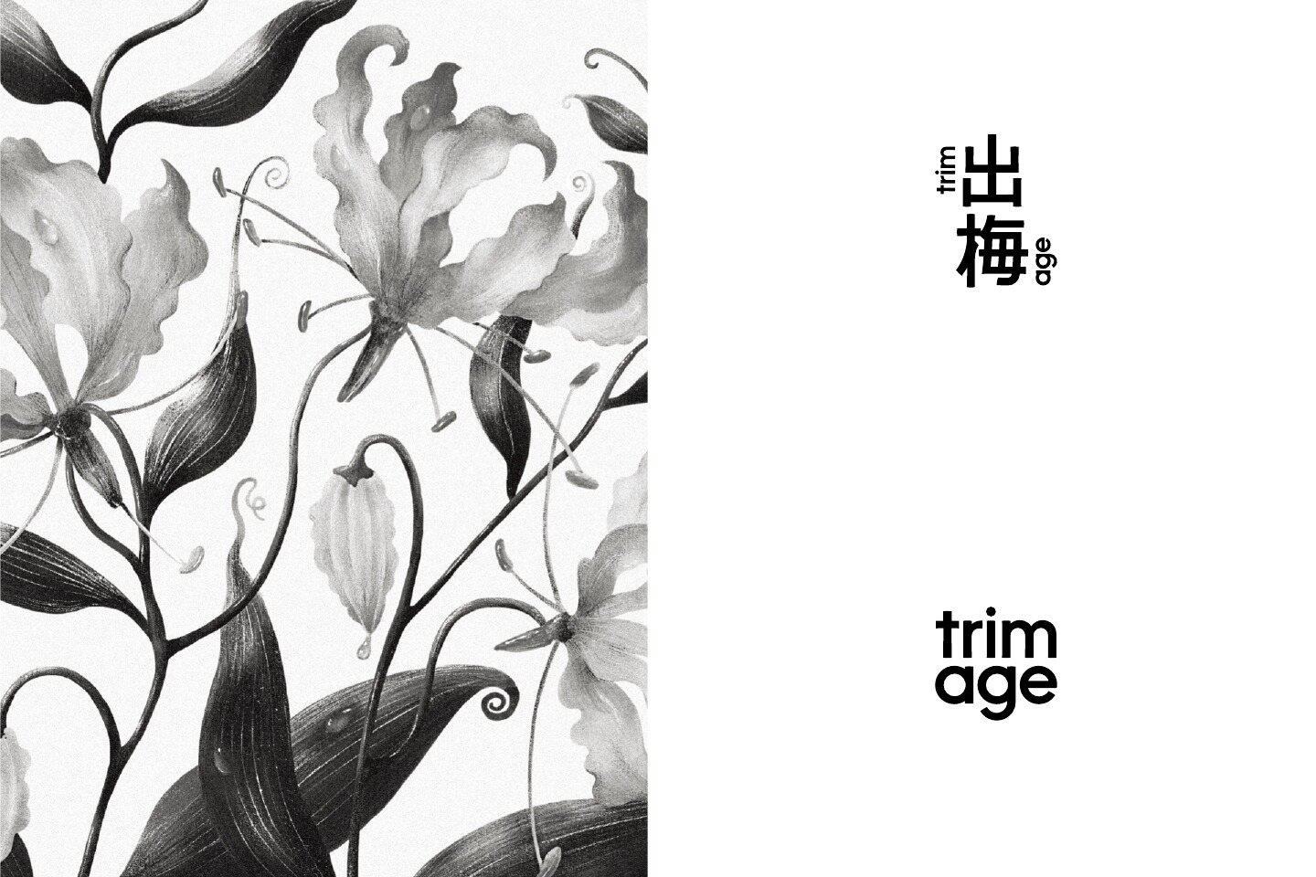 出梅® trimage 品牌设计 项目展示图 1