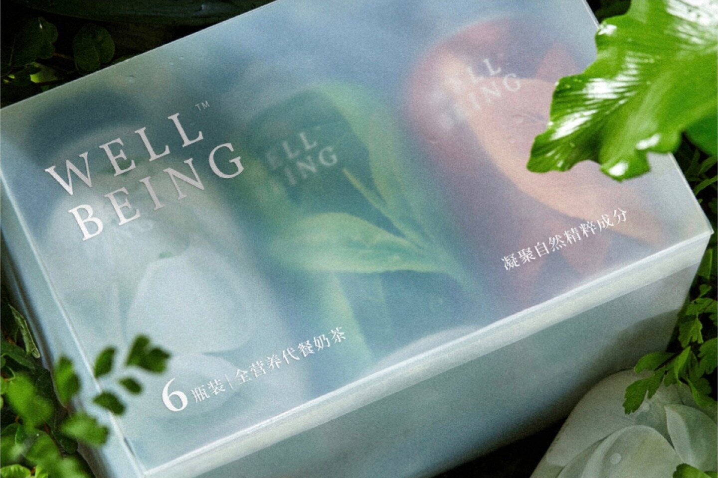 WELLBEING 项目展示图 3
